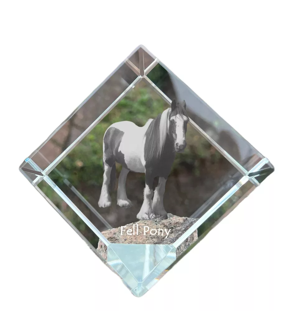 Fell Pony - crystal cube with a horse picture, horse picture in crystal, cubic paperweight from Art-Dog brand
