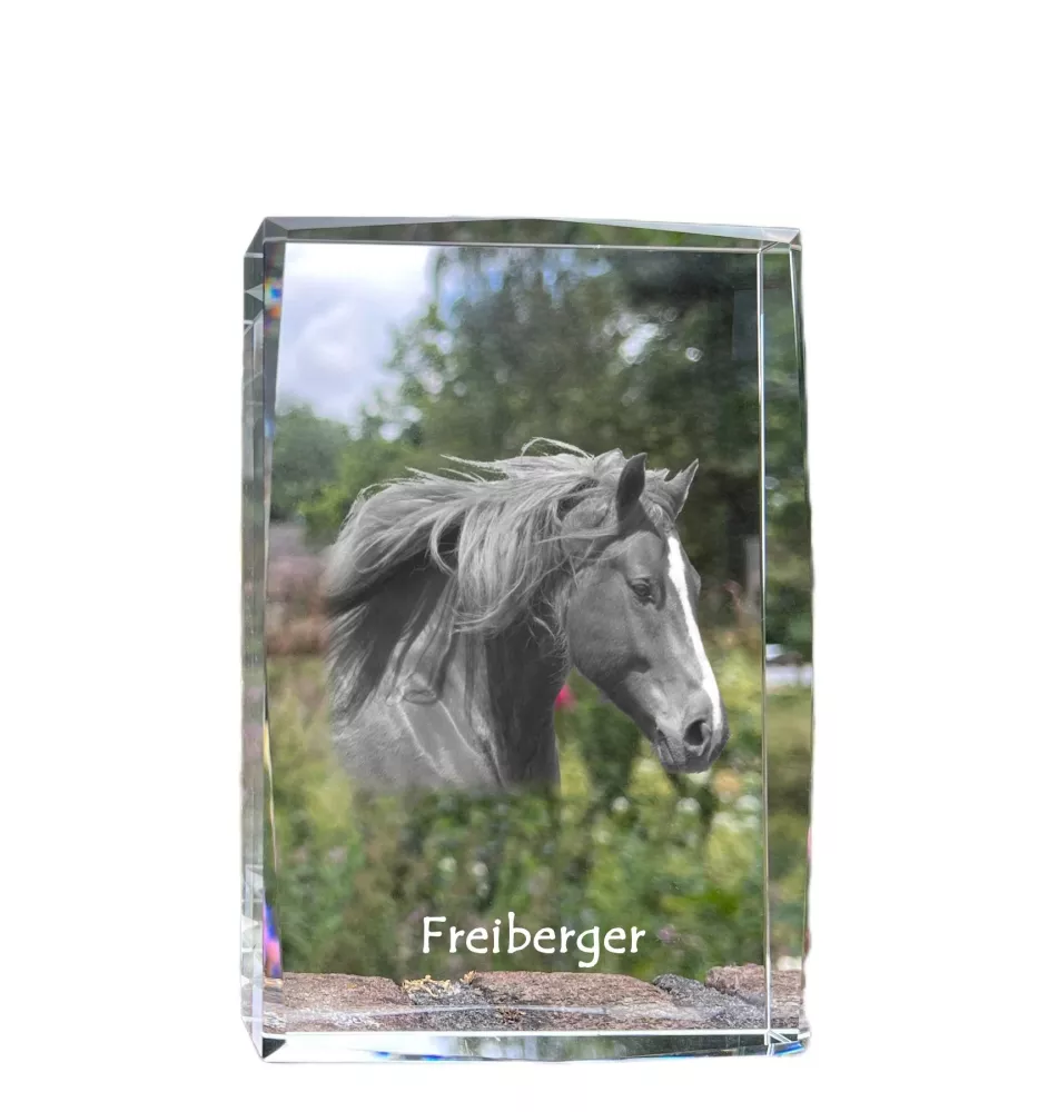 Freiberger - Kristall mit einem Pferdebild, Bild im Glas, moderne Ausstellung des Art-Dog-Bildes.