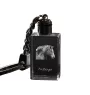 Freiberger - Crystal pendant with photo of a horse, illuminated pendant, unique gift by Art-Dog brand
