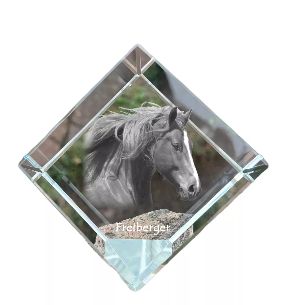 Freiberger - un cube de cristal avec une photo de cheval, une photo de cheval dans le cristal, un presse-papiers cubique de la marque Art-Dog
