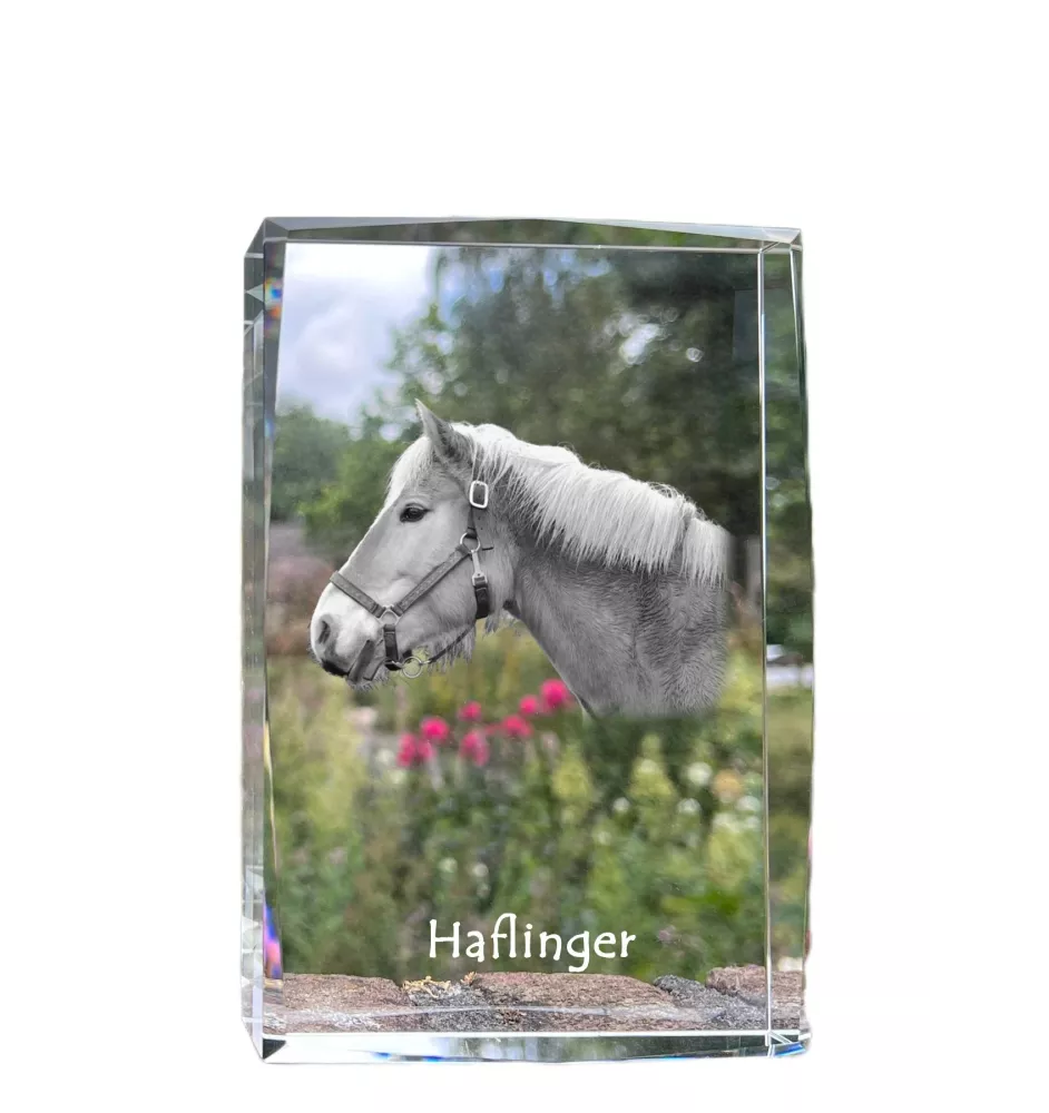 Haflinger - Kristall mit einem Pferdebild, Bild im Glas, moderne Ausstellung des Art-Dog-Bildes.