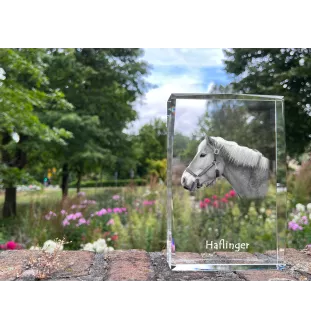 Haflinger - Kristall mit einem Pferdebild, Bild im Glas, moderne Ausstellung des Art-Dog-Bildes.