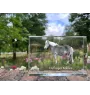 Haflinger Fohlen - cristal avec une photo de cheval, photo sous verre, exposition moderne de la marque de photos Art-Dog