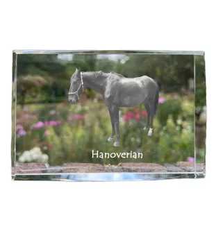 Hanovrien - cristal avec une photo de cheval, photo sous verre, exposition moderne de la marque de photos Art-Dog