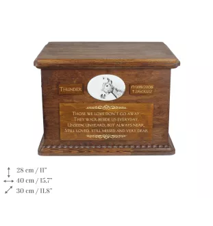 Haflinger Fohlen Urn für Pferdeasche, personalisierte Urne mit Foto, große Box für Pferdeasche von der Marke Art-Dog
