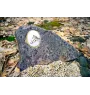 Haflinger - une plaque commémorative avec une photo de cheval, une plaque funéraire avec une impression, une plaque ovale personnalisée de la marque Art-Dog
