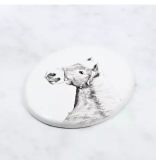 Haflinger Fohlen - Gedenktafel mit einem Pferdefoto, Grabplatte mit Druck, personalisierte ovale Platte von Art-Dog.