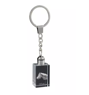 Haflinger - Kristall-Anhänger mit Foto eines Pferdes, beleuchteter Anhänger, einzigartiges Geschenk der Marke Art-Dog