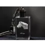 Haflinger - Crystal pendant with photo of a horse, illuminated pendant, unique gift by Art-Dog brand