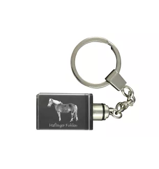 Haflinger Fohlen - Kristall-Anhänger mit Foto eines Pferdes, beleuchteter Anhänger, einzigartiges Geschenk der Marke Art-Dog
