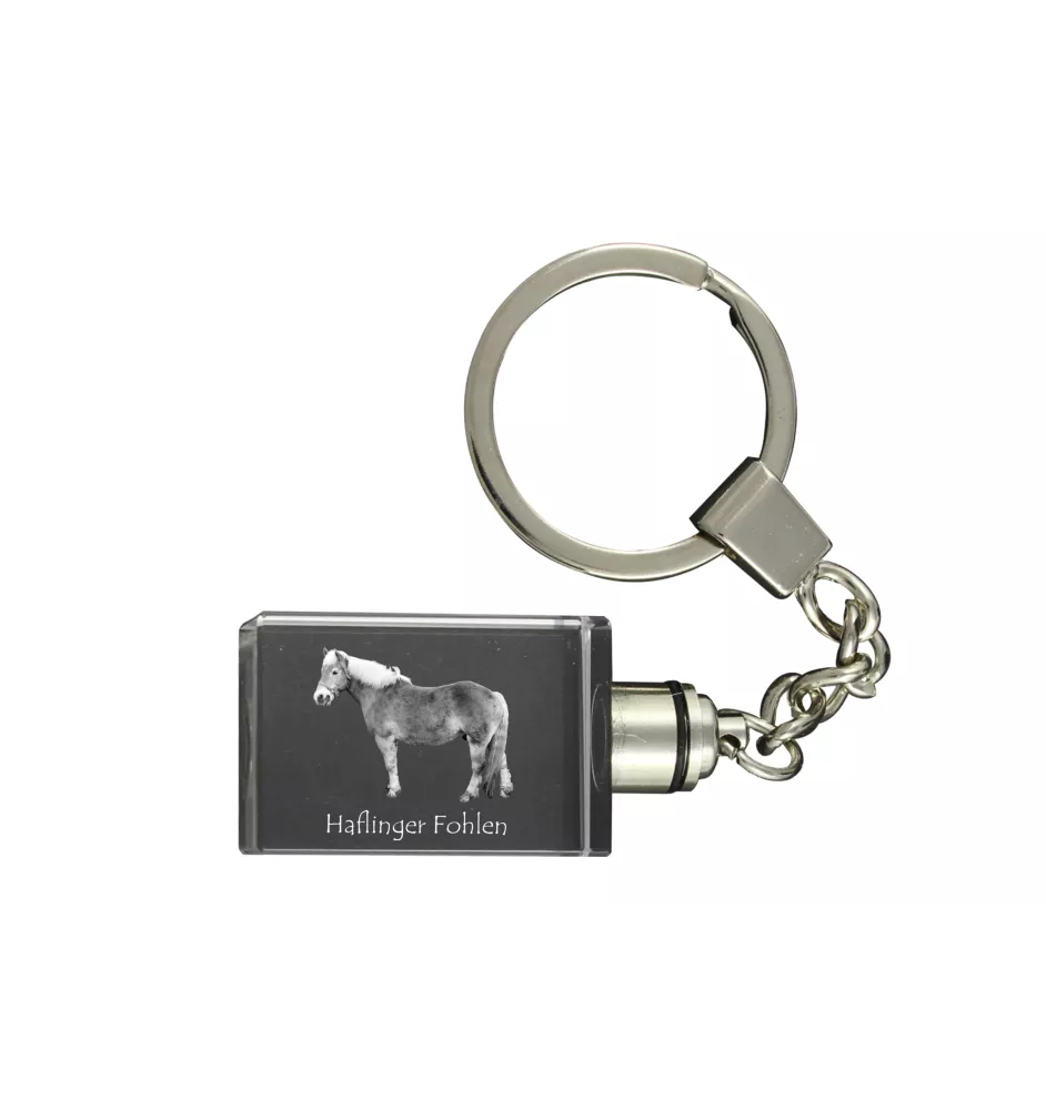 Haflinger Fohlen - Crystal pendant with photo of a horse, illuminated pendant, unique gift by Art-Dog brand