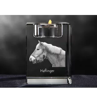 Haflinger - Bougeoir avec image d'un cheval, porte bougie en cristal, cadeau personnalisé par la marque Art-Dog