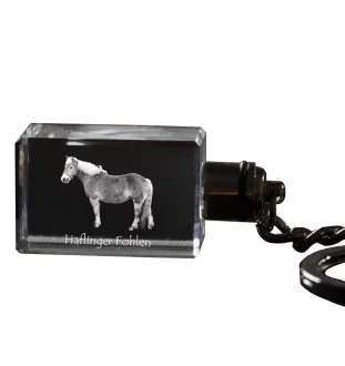 Haflinger Fohlen - Kristall-Anhänger mit Foto eines Pferdes, beleuchteter Anhänger, einzigartiges Geschenk der Marke Art-Dog
