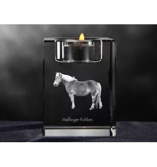 Haflinger Fohlen - Kerzenhalter mit Bild eines Pferdes, Teelichthalter aus Kristall, personalisiertes Geschenk der Marke Art-Dog