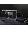 Hannoveraner - Kristall-Anhänger mit Foto eines Pferdes, beleuchteter Anhänger, einzigartiges Geschenk der Marke Art-Dog