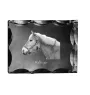 Haflinger - Kristall mit einem Pferdebild, Glasstatuette mit einem Bild, einzigartiger Bilderrahmen der Marke Art-Dog
