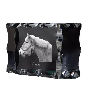 Haflinger - Kristall mit einem Pferdebild, Glasstatuette mit einem Bild, einzigartiger Bilderrahmen der Marke Art-Dog