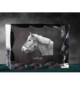 Haflinger - Kristall mit einem Pferdebild, Glasstatuette mit einem Bild, einzigartiger Bilderrahmen der Marke Art-Dog