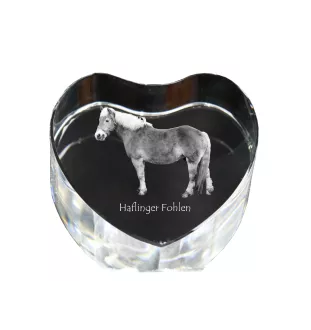 Haflinger Fohlen - a photo of a horse in crystal, a crystal heart, a unique frame with a photo from the Art-Dog brand