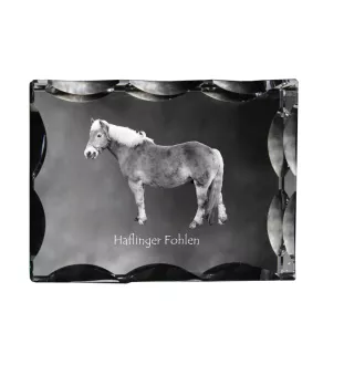 Haflinger Fohlen - kryształ ze zdjęciem konia, szklana statuetka ze zdjęciem, wyjątkowa ramka ze zdjęciem marki Art-Dog