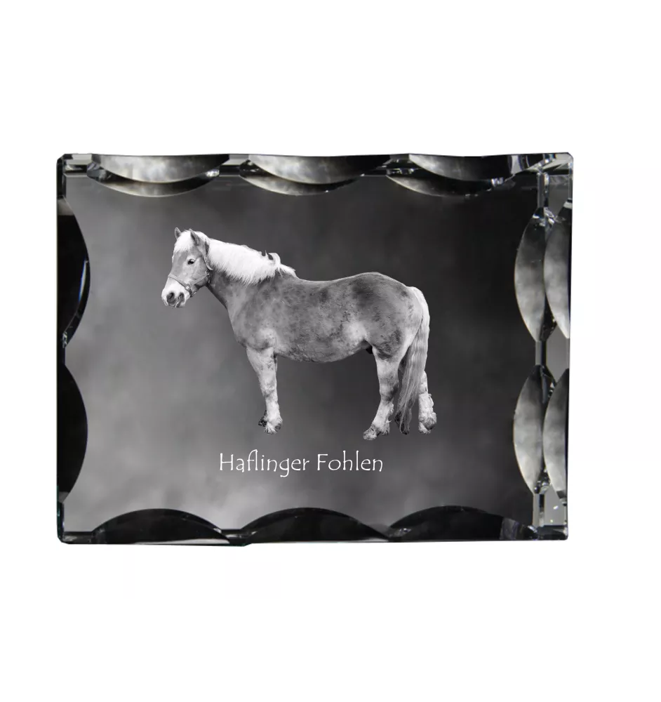 Haflinger Fohlen - Kristall mit einem Pferdebild, Glasstatuette mit einem Bild, einzigartiger Bilderrahmen der Marke Art-Dog