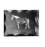 Haflinger Fohlen - crystal with a picture of a horse, glass statuette with a picture, unique frame with a picture from Art-Dog brand