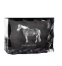 Haflinger Fohlen - crystal with a picture of a horse, glass statuette with a picture, unique frame with a picture from Art-Dog brand