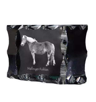 Haflinger źrebię ramka kryształowe z koniem Art-Dog