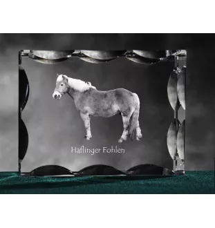 Haflinger Fohlen - kryształ ze zdjęciem konia, szklana statuetka ze zdjęciem, wyjątkowa ramka ze zdjęciem marki Art-Dog