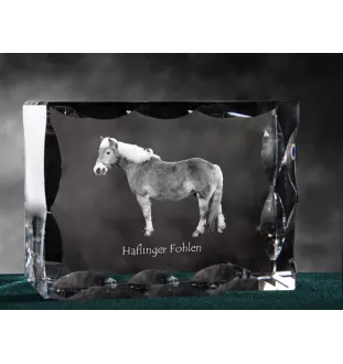 Haflinger Fohlen - Kristall mit einem Pferdebild, Glasstatuette mit einem Bild, einzigartiger Bilderrahmen der Marke Art-Dog