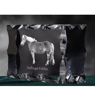 Haflinger Fohlen - Kristall mit einem Pferdebild, Glasstatuette mit einem Bild, einzigartiger Bilderrahmen der Marke Art-Dog