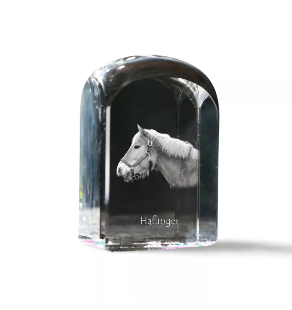 Haflinger - un cube de cristal avec une photo, une photo de cheval dans le cristal, un presse-papiers cubique de la marque Art-Dog