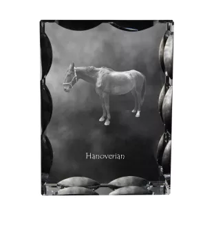 Hanoverian - kryształ ze zdjęciem konia, szklana statuetka ze zdjęciem, wyjątkowa ramka ze zdjęciem marki Art-Dog
