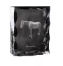 Hanowerski ramka kryształowe z koniem Art-Dog