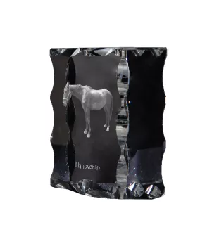 Hannoveraner - crystal with a picture of a horse, glass statuette with a picture, unique frame with a picture from Art-Dog brand