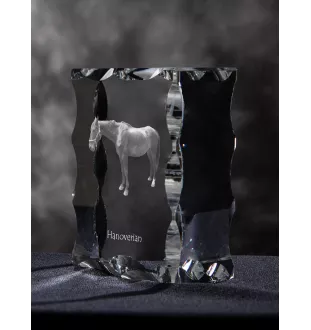 Hanovrien - Kristall mit einem Pferdebild, Glasstatuette mit einem Bild, einzigartiger Bilderrahmen der Marke Art-Dog