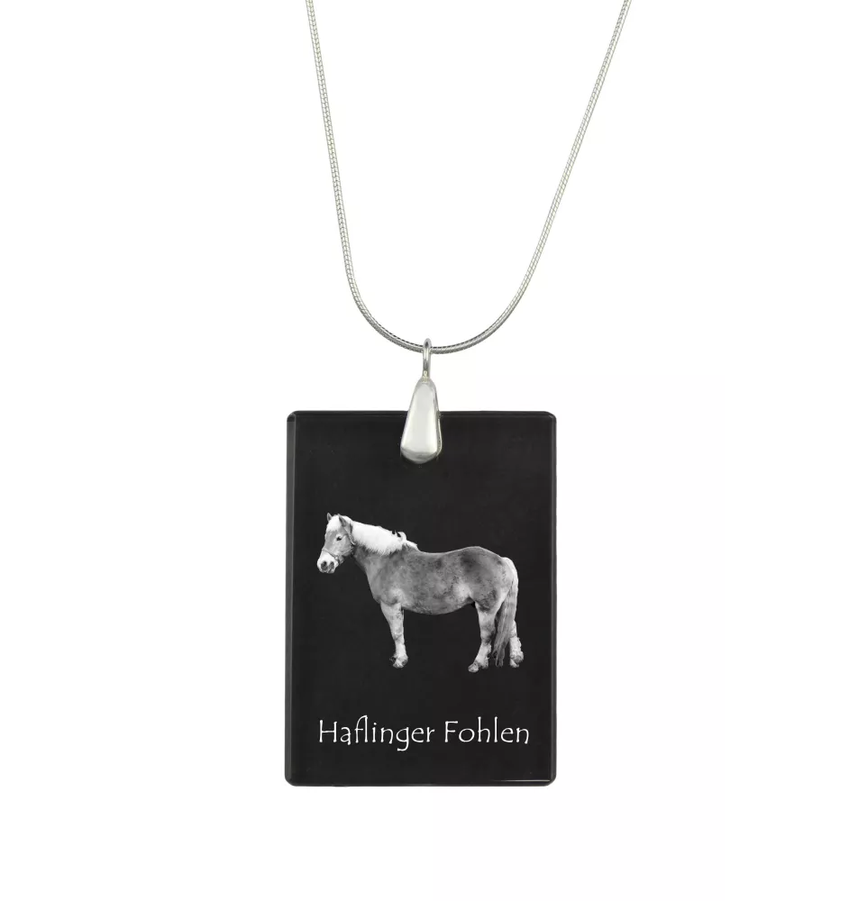 Haflinger Fohlen - Crystal pendant with horse, silver necklace with photo, personalised pendant by Art-Dog brand