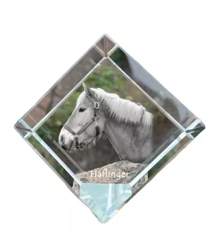 Haflinger - un cube de cristal avec une photo de cheval, une photo de cheval dans le cristal, un presse-papiers cubique de la marque Art-Dog