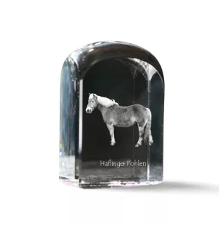 Haflinger Fohlen - Kristallwürfel mit Bild, Pferdebild im Kristall, sechseckiger Papierclip der Marke Art-Dog