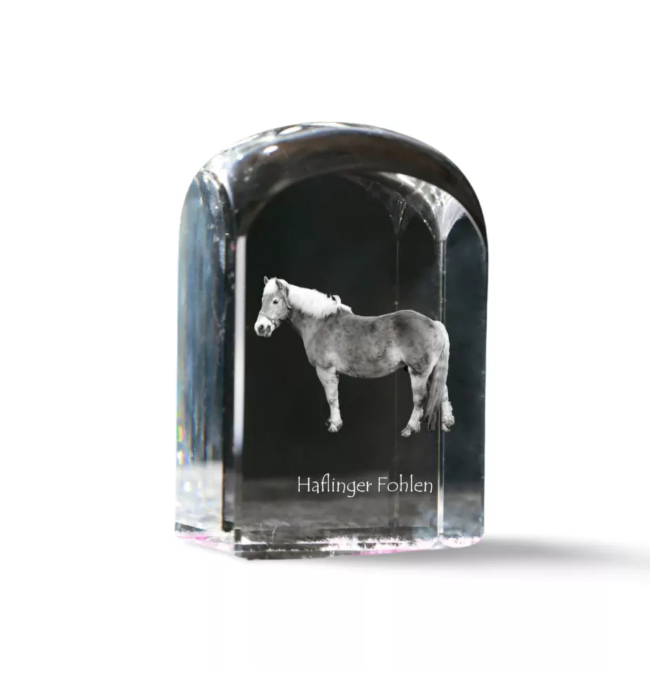 Haflinger Fohlen - crystal cube with a photo, photo of a horse in crystal, cubic paperweight from Art-Dog brand