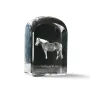 Haflinger Fohlen - crystal cube with a photo, photo of a horse in crystal, cubic paperweight from Art-Dog brand