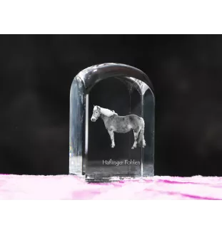 Haflinger Fohlen - Kristallwürfel mit Bild, Pferdebild im Kristall, sechseckiger Papierclip der Marke Art-Dog