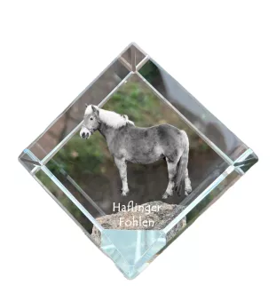 Haflinger Fohlen - un cube de cristal avec une photo de cheval, une photo de cheval dans le cristal, un presse-papiers cubique de la marque Art-Dog