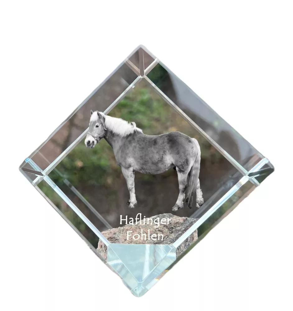 Haflinger Fohlen - crystal cube with a horse picture, horse picture in crystal, cubic paperweight from Art-Dog brand