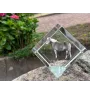 Haflinger Fohlen - un cube de cristal avec une photo de cheval, une photo de cheval dans le cristal, un presse-papiers cubique de la marque Art-Dog