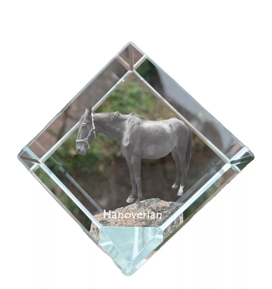 Hanovrien - un cube de cristal avec une photo de cheval, une photo de cheval dans le cristal, un presse-papiers cubique de la marque Art-Dog