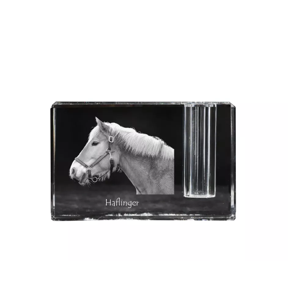Haflinger - Pen stand, crystal organiser with picture of a horse, unique desk decoration by Art-Dog brand