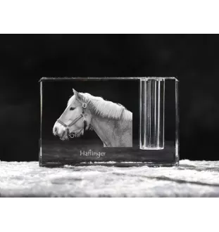 Haflinger - Porte-stylos, organiseur en cristal avec image d'un cheval, décoration de bureau unique par la marque Art-Dog