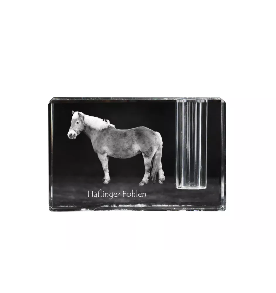 Haflinger Fohlen - Porte-stylos, organiseur en cristal avec image d'un cheval, décoration de bureau unique par la marque Art-Dog