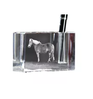 Haflinger Fohlen - Pen stand, crystal organiser with picture of a horse, unique desk decoration by Art-Dog brand